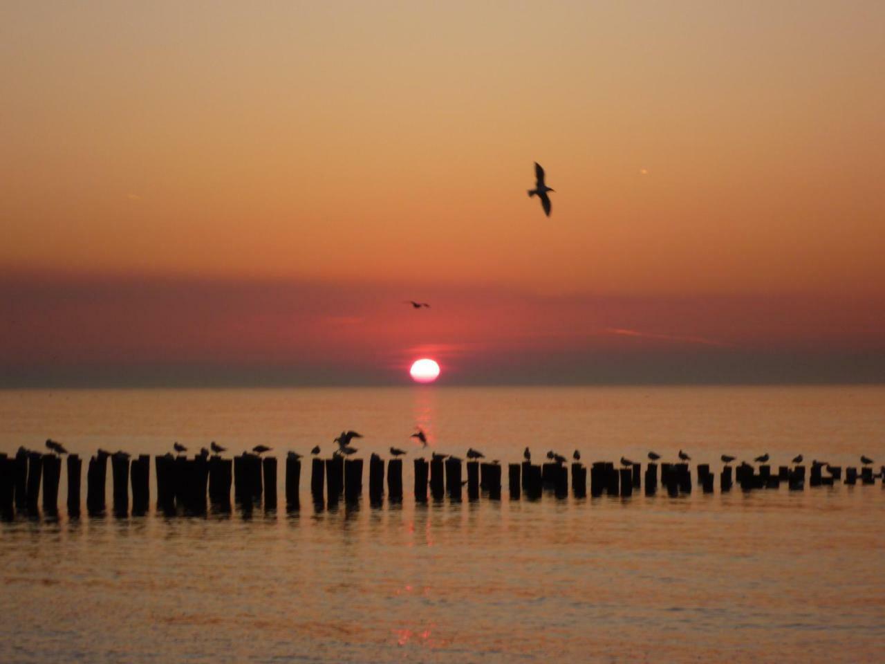 Vakantiewoning Dichtbij Centrum Domburg Do13 エクステリア 写真
